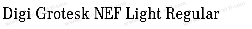 Digi Grotesk NEF Light Regular字体转换